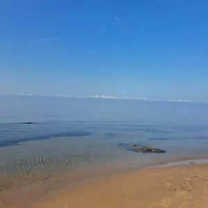 Dei Colori Anticaglie Punta Secca
